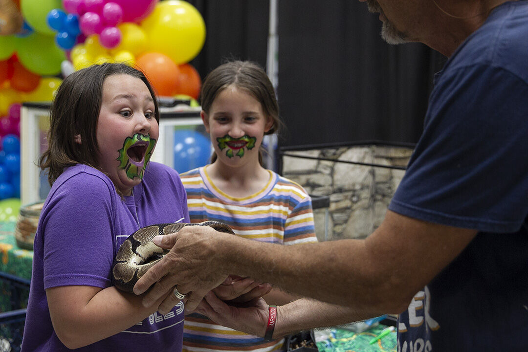Petfest